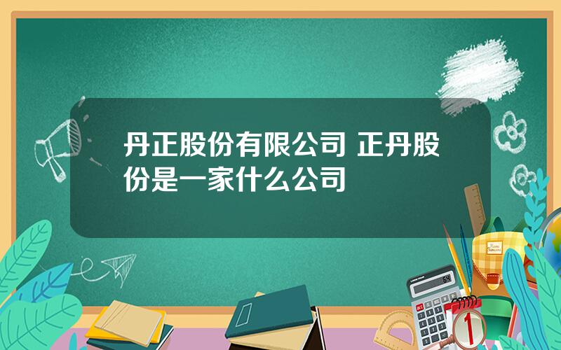 丹正股份有限公司 正丹股份是一家什么公司